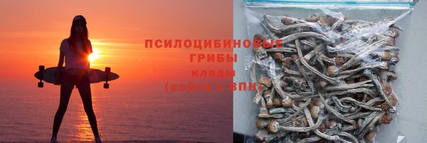 крисы Алексин