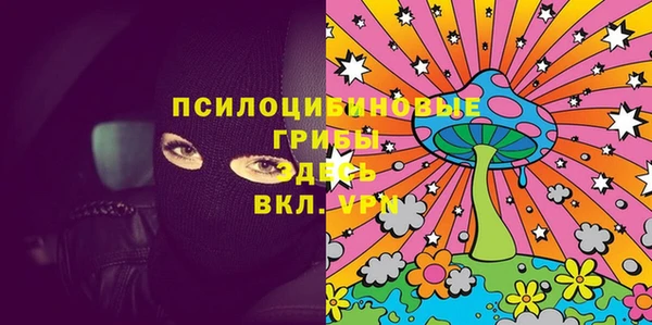крисы Алексин