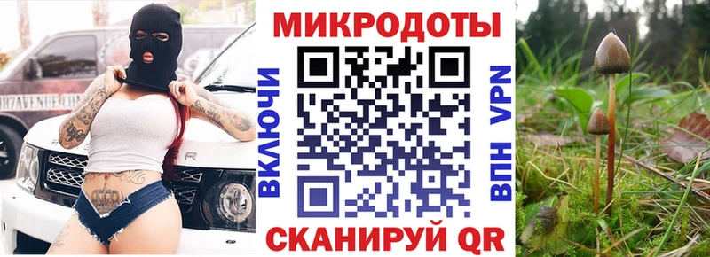 Псилоцибиновые грибы Psilocybine cubensis  Динская 